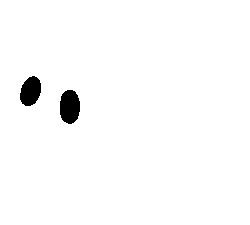 Baba