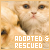 Adopted & Rescued Animals