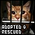 Cats (Adopted & Rescued)