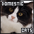 Cats (Domestic)
