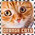 Cats (Orange)