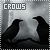Crows