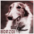 Borzoi