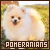 Pomeranians