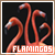 Flamingos