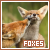 Foxes