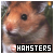 Hamsters