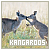 Kangaroos
