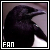 Magpies