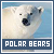 Polar Bears