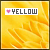 Yellow (Color)