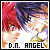 D.N.Angel