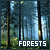 Forests