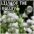 Lily of the Valley